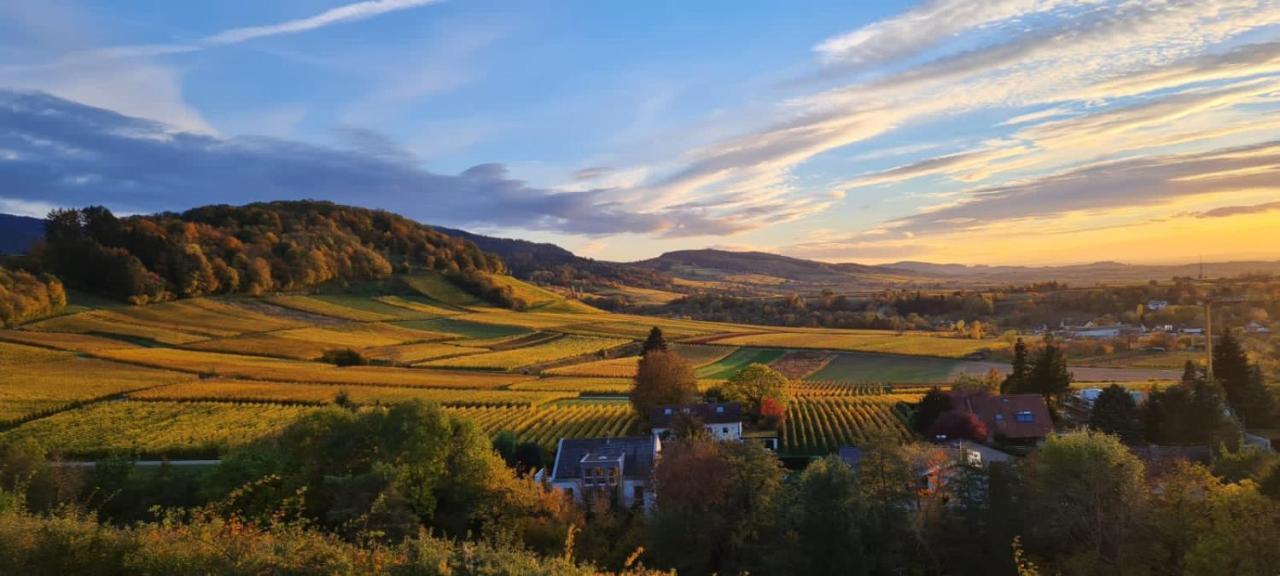 Paradies 2 Castellberg-Jakobsweg Döttingen Exteriör bild