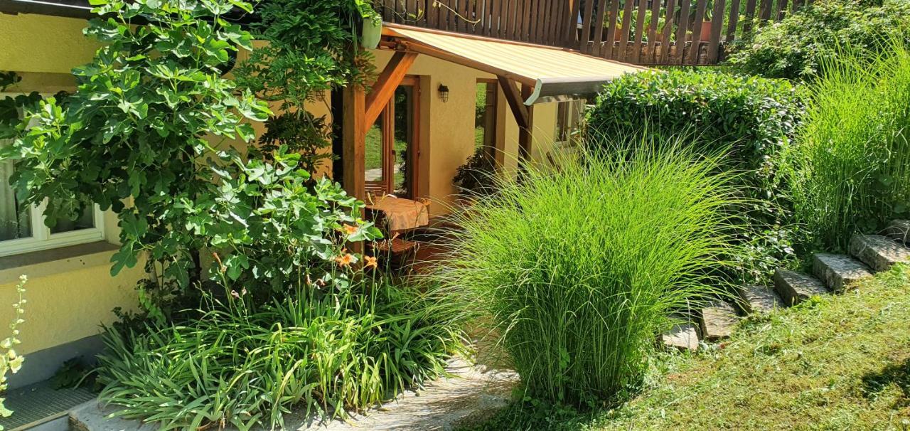 Paradies 2 Castellberg-Jakobsweg Döttingen Exteriör bild