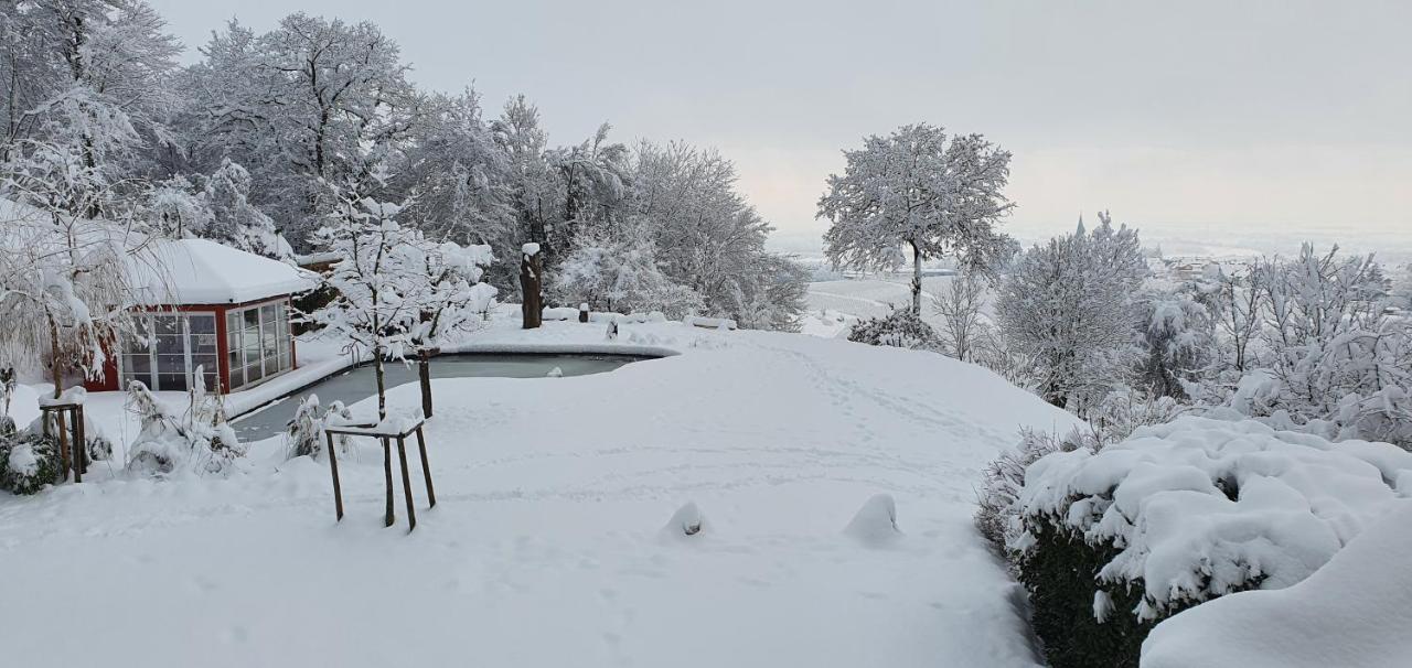 Paradies 2 Castellberg-Jakobsweg Döttingen Exteriör bild