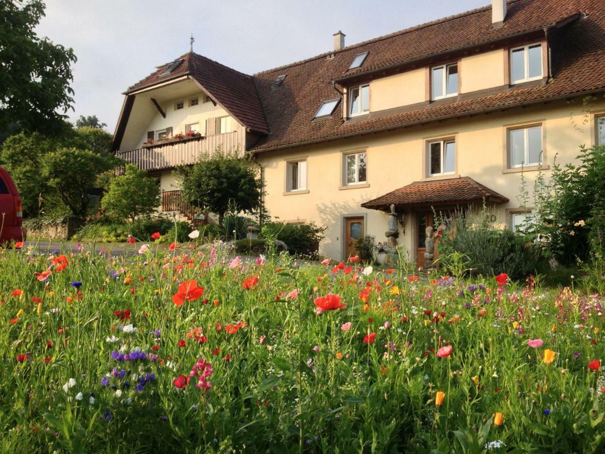 Paradies 2 Castellberg-Jakobsweg Döttingen Exteriör bild